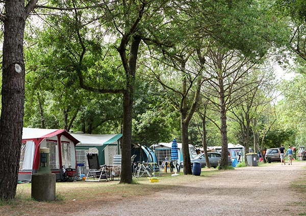 Ontdek camping La Sieste